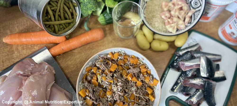 ration ménagère pour chien