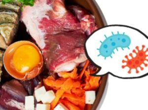 parasites et bactéries viande crue