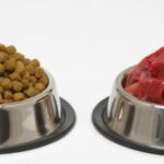 transition alimentaire