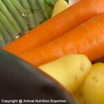 légumes pour le chien