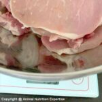 quantité de viande pour un chien