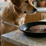 cuisiner pour son chien