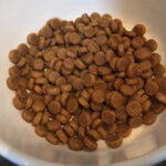 croquettes sans cereales