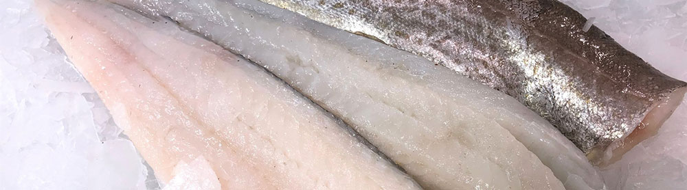 poisson pour le chien