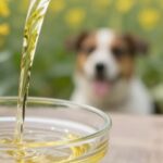 huile pour le chien